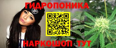 дживик Донецк