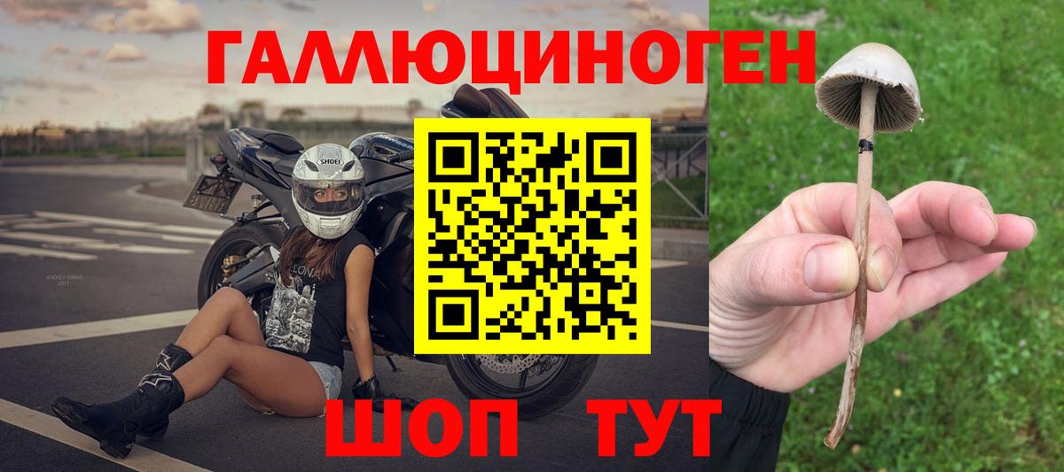 Лениногорск  Галлюциногенные грибы Psilocybe  Вход с VPN 